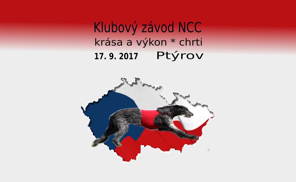 NA CO SE MŮŽETE TĚŠIT?