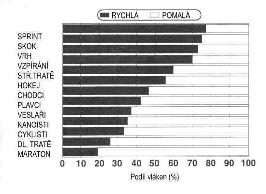 Podíl pomalých a rychlých vláken u sportovců různých