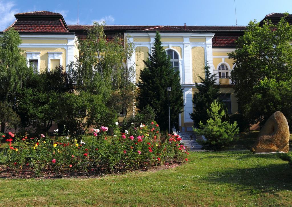 Výroční zpráva