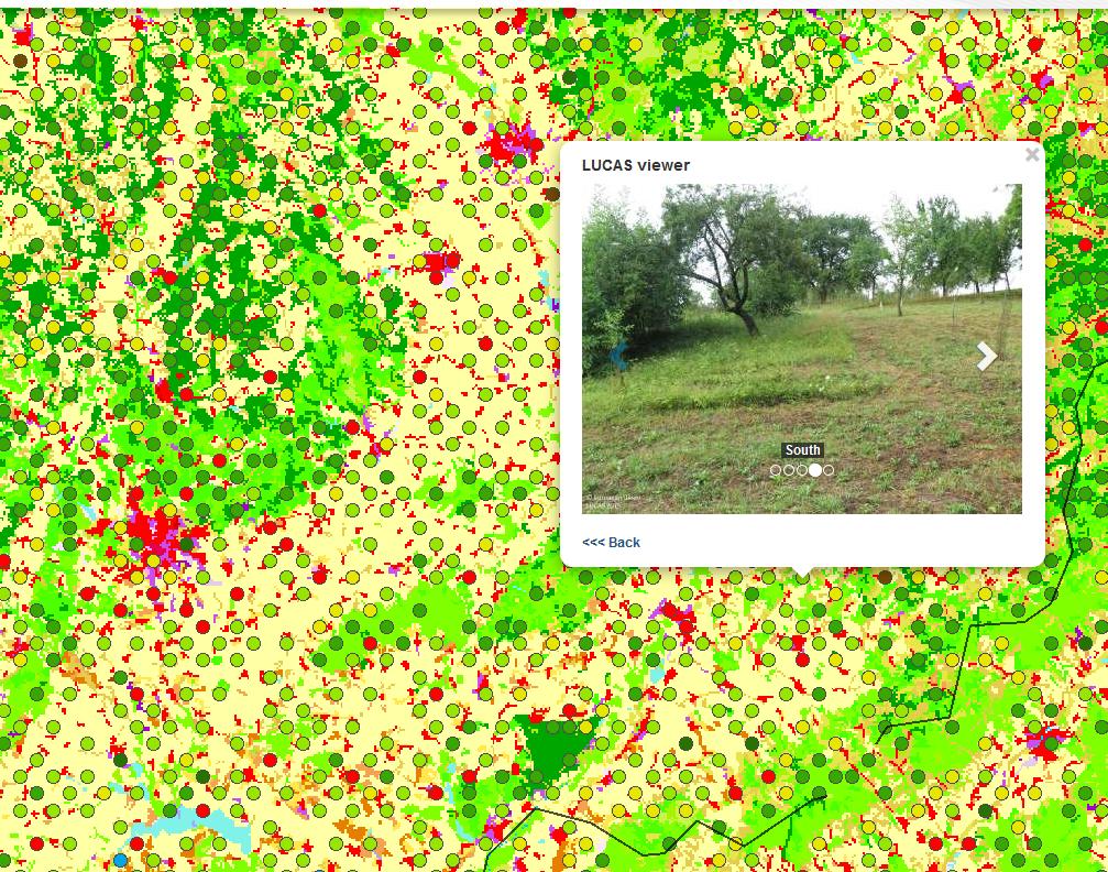 porost bez dřevin LU Code Land use