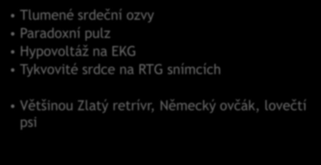 Tykvovité srdce na RTG snímcích