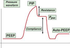 endexpiračního přetlaku (PEEP) : Následující text bude popisovat nejčasteji