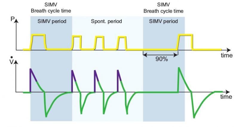 PsIMV (pressure synchromized intermitend mandatory ventilation) VsIMV (volume synchromized intermitend mandatory ventilation) PS/PSV (pressure support/ pressure support ventilation označuje totéž)