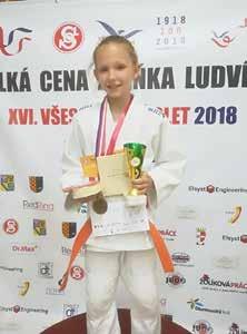 Na tuto tradici navazují letošní sletové soutěže, jichž se v různých sportech uskuteční celkem patnáct. Začátek roku 2018 se stal startem sletových soutěží, pořádaných u příležitosti XVI.