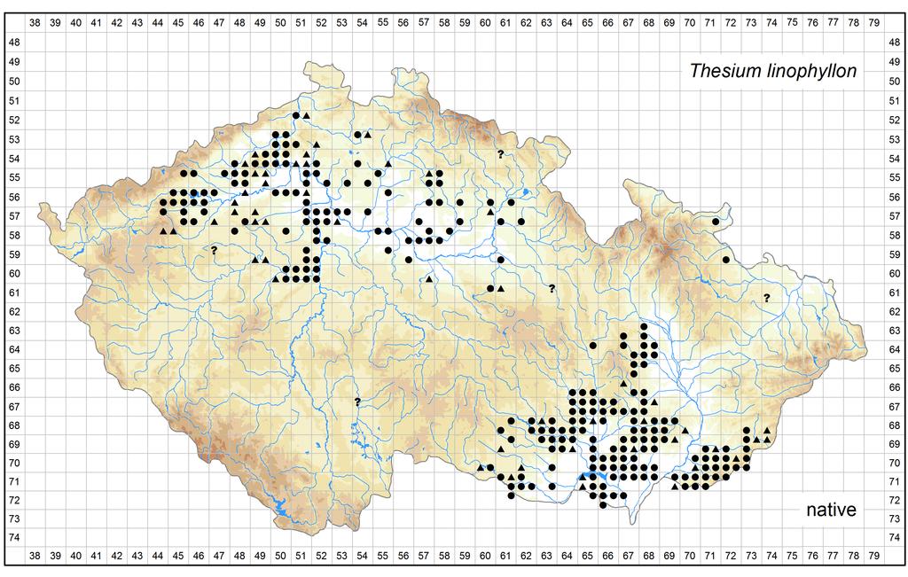 Author of the map: Václav Dvořák, Martin Dančák Map produced on: 06-02-2017 Distribution of Thesium linophyllon in the Czech Republic Database records used for producing the distribution map of