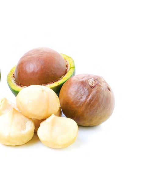 Účinné ingredience: čistý rostlinný olej makadamiový, saflorový, mandlový, kokosový Emolid, bylinný extrakt Protektin, esenciální oleje fenykl, heřmánek a grep, vitamin E.