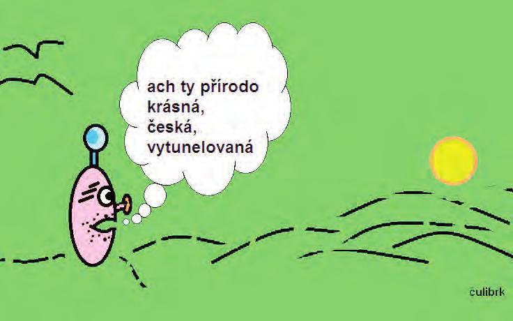 Na rozpuštěném másle orestujeme zeleninu a pak do ní vložíme koření.