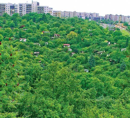 Nebudu vyjmenovávat všechny jeho plusy, každopádně usměvavý člověk je mi vždy milejší než zapšklý suchar, který se ani neusměje a z jeho rádoby vtipných replik, často nechutně intelektuálských, je