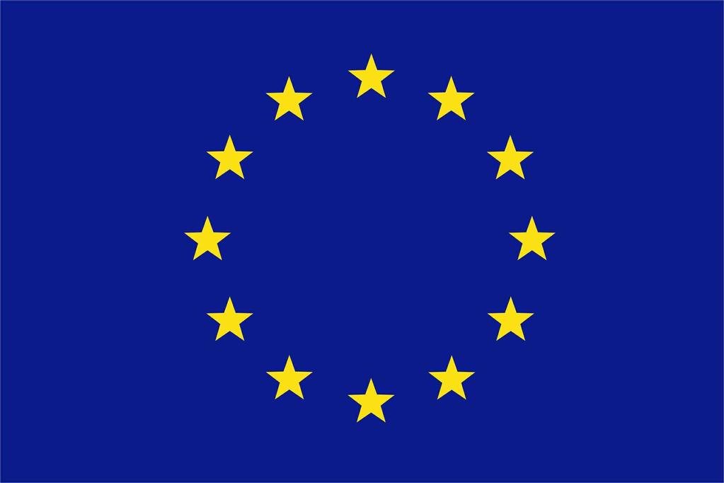 Rozpočet projektu činí 649 500,- Kč na 18 měsíců a je plně hrazen grantem. Od 15.8.2005 organizace započala realizaci projektu, který uspěl v prvním kole výzvy Nadace pro rozvoj občanské společnosti globální grant.