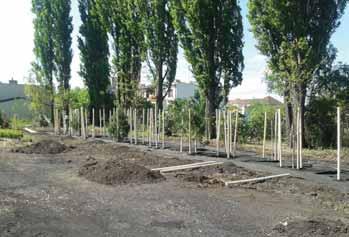 1 657 229 Kč Celková výše podpory 1 491 506 Kč Podpora FS 1 408 645 Kč Dotace SR 82 861 Kč Prioritní osa 2, oblast podpory 2.