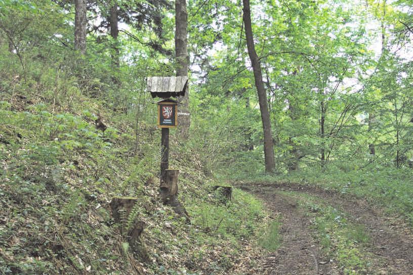 kapraď samec, pšeníčko rozkladité, samorostlík klasnatý, věsenka nachová, jaterník podléška, zimolez černý a obecný, mečík střechovitý, kýchavice bílá Lobelova, rybíz alpínský, srstka angrešt).