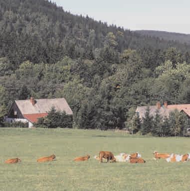 ARCHITEKTURA WIEJSKA I KOŚCIÓŁ PARAFIALNY ŚW. ANDRZEJA W HERZMANOWICACH Herzmanowice są wielką wsią górską o której mówiono już w wieku XIV, jako o miasteczku. W 1995 r.