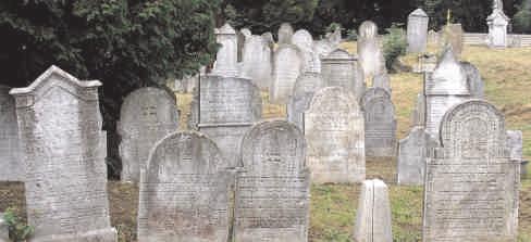 ŽIDOVSKÝ HŘBITOV OSOBLAHA A VELKÝ PAVLOVICKÝ RYBNÍK Nejen zájemci o historii by si zcela jistě neměli nechat ujít příležitost navštívit oblast Osoblažska, která se někdy označuje jako ekologický