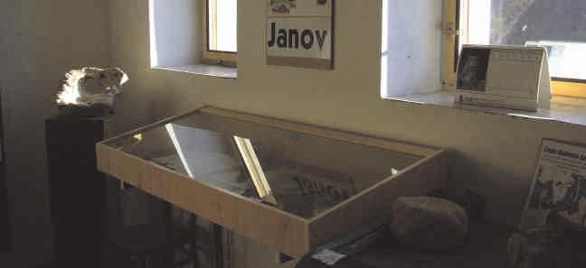 ulżyć w ciężkiej pracy - to zapraszamy do wsi Janow. Muzeum znajduje się w byłej szkole i otworzono je w 2001 r. z okazji rocznicy 750 lat założenia wsi.