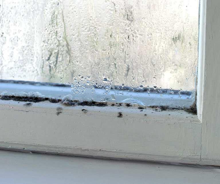 lednic nebo zapomenutých potravinách http://mold-awareness.