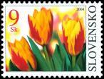320) Tulipán Kaufmannov 320 (xxx) 9 Sk viacfarebná (=) b... 9,- 3,- 320 KĽa s kupónom SLOVOLYMPFILA 2004... 320 KĽb s personalizovaným kupónom... 320 KĽc s nepotlačeným kupónom.