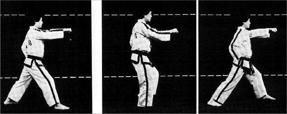Pohyb v taekwondu II.