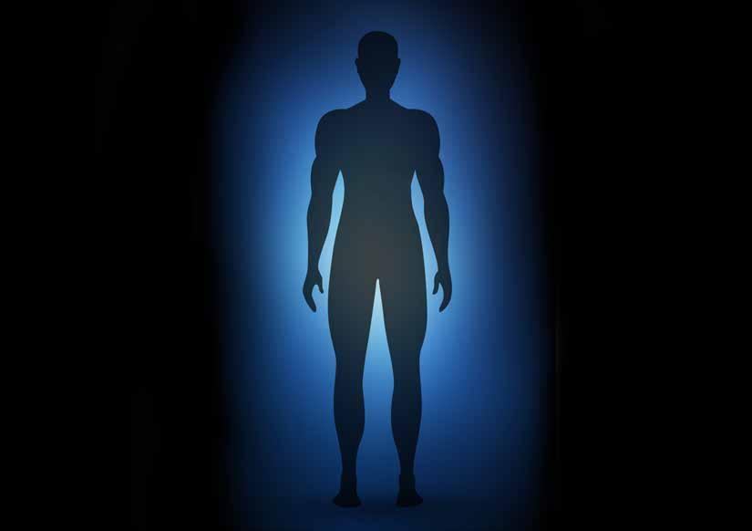 Poměr lehkého a hlubokého spánku Percentage of light and deep sleep Pohyby těla Body movements Čas usnutí a probuzení Times of falling asleep and waking up Délka spánku Time spent asleep Nastavení