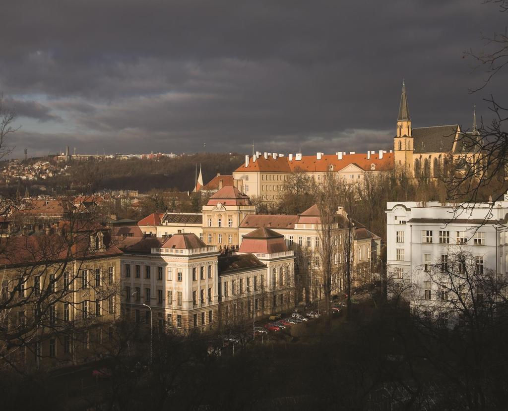 Mezinárodní