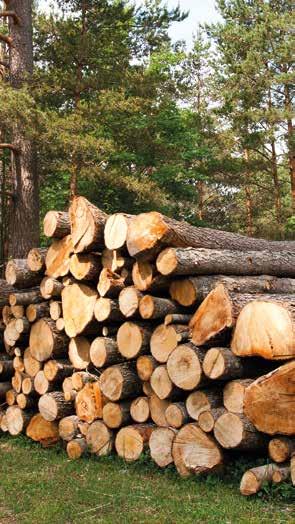 Péče o keře a stromy Při volbě pily zvažte množství dřeva, které s ní chcete připravovat bude-li to více jak 5 m 3 ročně nebo plánujete-li pilu použí- ŘETĚZOVÉ PILY vat přímo v lese, vyberte si
