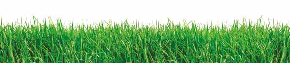 Vertikutátory Pravidelná vertikutace je jedním ze základních kroků při údržbě trávníku. Aby byl trávník krásný a zdravý, potřebuje ke svému růstu dostatek živin, vzduchu, vody i slunečního světla.