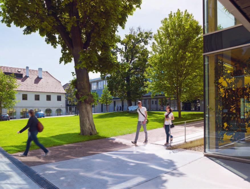 18 18 Zápis ke studiu Aktivace účtu na portálu VUT Nahrát barevnou fotku na kartu do portálu Objednat průkaz studenta anebo ISIC Mít