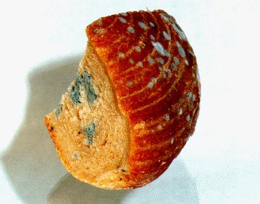 NA POKOJI NENÍ POVOLENO