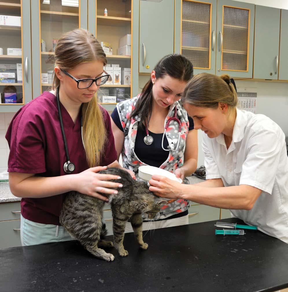 Časopis Veterinární a