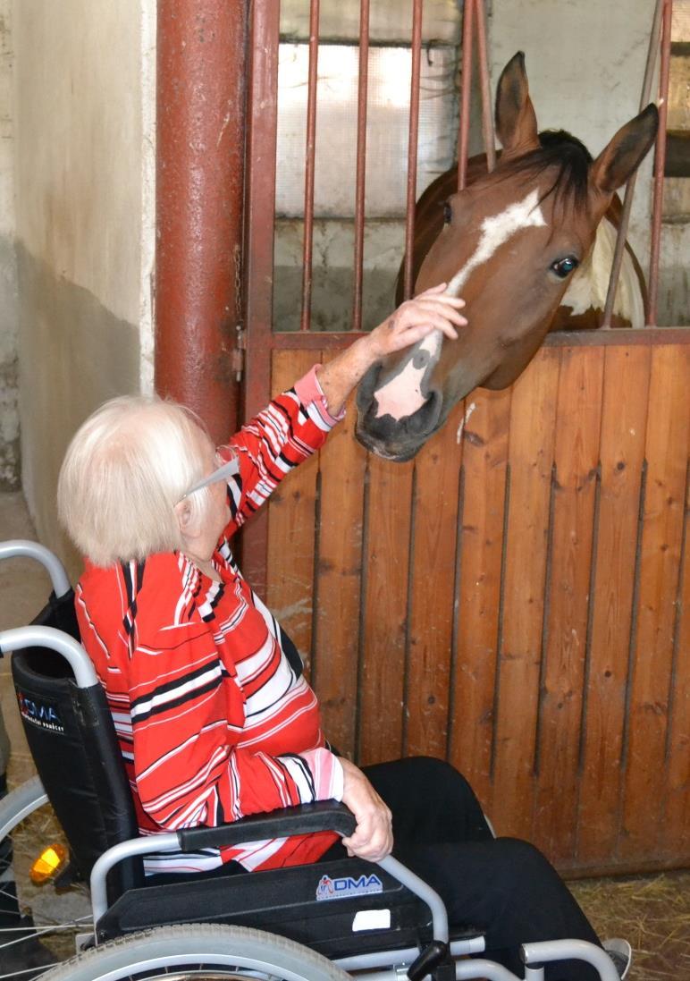 .návštěva