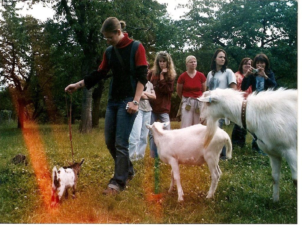 2005 se obě dvě účastníme vzdělávacího semináře VÝUKOVÉ A