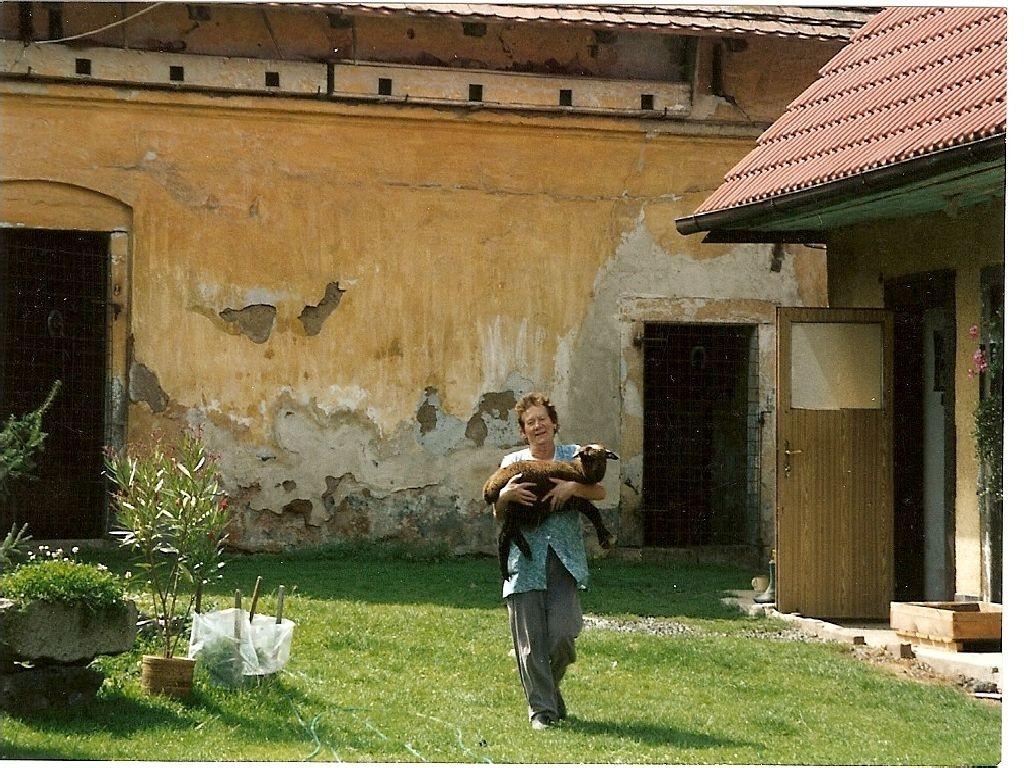 Domů s námi jede malý sirotek, ovečka, která přišla o maminku a její další existence tím byla nejistá.