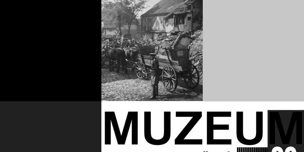 akceptovány; stejně jako ve vlastním zákoně však nadále přetrvávají rozpory mezi pojetím muzejních archiválií jako sbírkového předmětu podle zákona o ochraně sbírek muzejní povahy a jejich zařazením