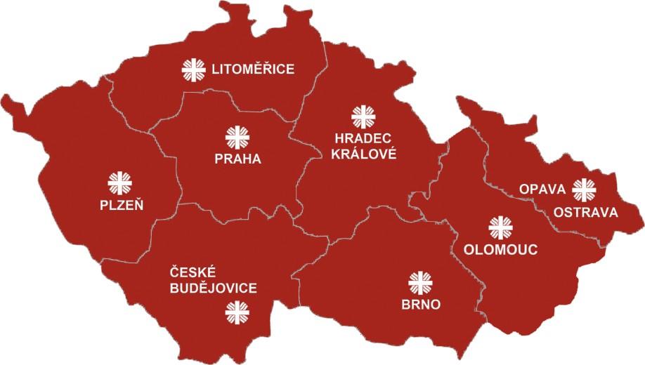 Charita Česká republika při povodních 2012 poskytlo 1209 charitních služeb pomoc celkem 86 558 lidem. Náklady za všechny charitní subjekty v ČR činily 2,843 mld. korun.