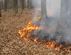Požár v přírodě Co dělat, když se rozšíří oheň mimo ohniště a jakým způsobem uhasit oděv, když nemáte po ruce vodu? Na tyto otázky naleznete odpovědi v této kapitole.