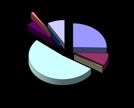 0,08% mzdy hlavní činnosti 1,38% 4,03% 8,27% zákonné odvody hlavní činnosti FKSP hlavní činnost 51,93% 25,39% 0,46% 8,46% ostatní náklady vyplývající z hlavní činnosti mzdy doplňkové činnosti zákonné