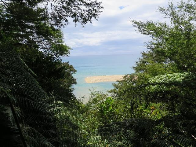 Ve středu 22.1.2014 ráno jsme jeli znovu do Kaiterii. Pak jsme jeli lodí na Abel Tasman national park.