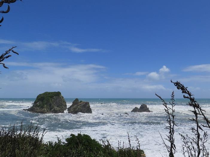 Pak jsme jeli do Tauranga Bay a tam se šli projít po pobřeží, podívat se dalekohledem na skalnatý ostrůvek s tuleněma.