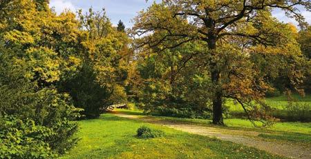 PARDUBICKO RELAXAČNĚ 3 RELAXAČNĚ DO PŘÍRODY Choltická obora Park Na Špici Era Golf Lázně Bohdaneč Tyršovy sady Další perlou oblasti je Choltická obora, která volně navazuje na zámecký park a