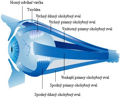 Obrázek 5