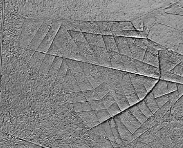 8 Ein Laserscanbild des sächsisches