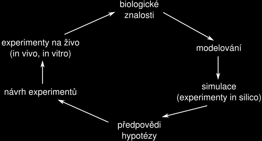 Systémová