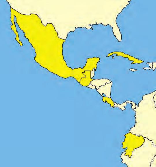 Španělsku a řadě zemí Latinské Ameriky. Úplnou nabídku najdete na www.intact.cz!