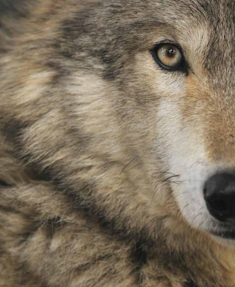 Těchto 5 pravidel dokazuje náš závazek Biologické vhodnosti.