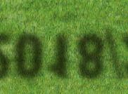 2018/