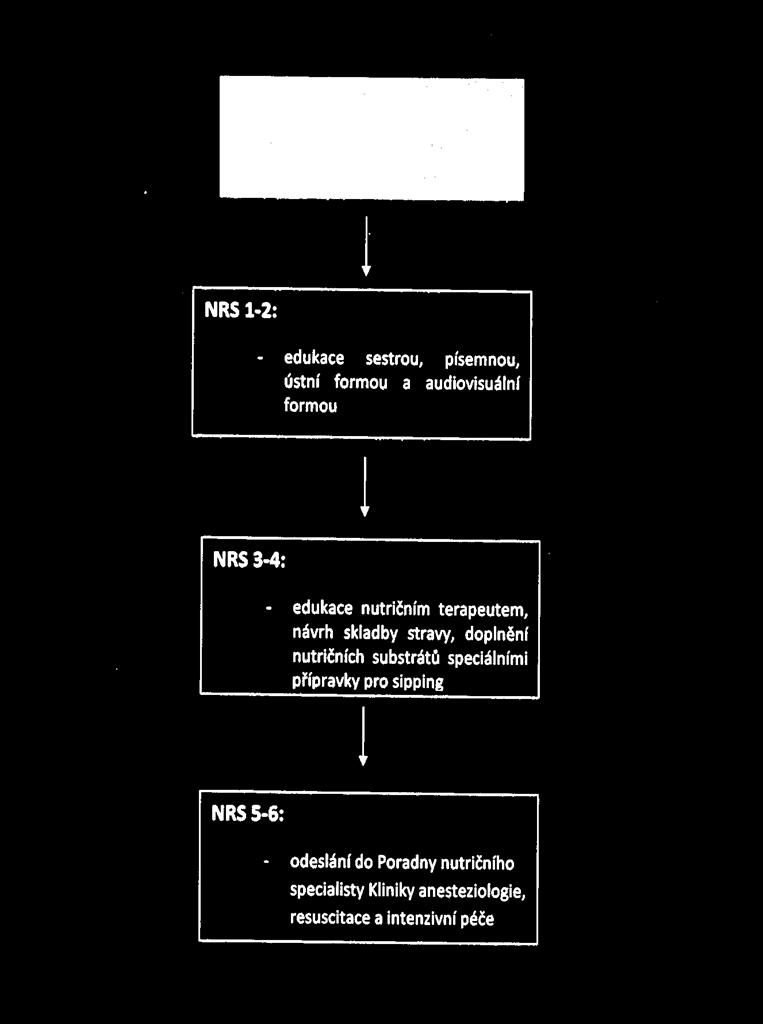Obrázek 1: Nutriční péče o
