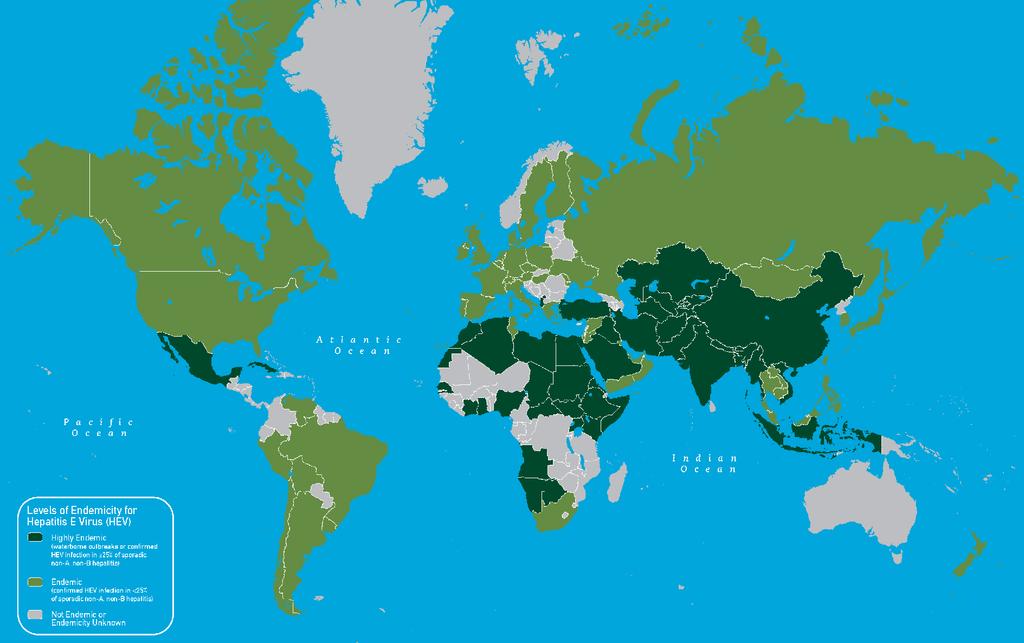 Výskyt a způsoby přenosu viru hepatitidy E ve světě a u nás v České republice Hepatitida E je závažným virovým onemocněním, které se vyskytuje celosvětově (Obr. č. 1).