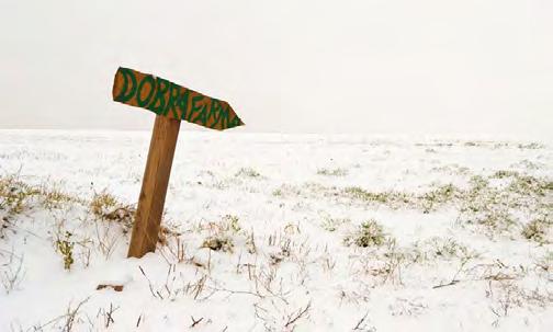 STATKY Dobrá farma Máslovice Historie velice sympatické Dobré farmy Máslovice sahá do 19. století. Rodinný pokračovatel, mladý farmář Vojtěch Sýkora, hospodaří na pozemcích o rozloze 16 ha.