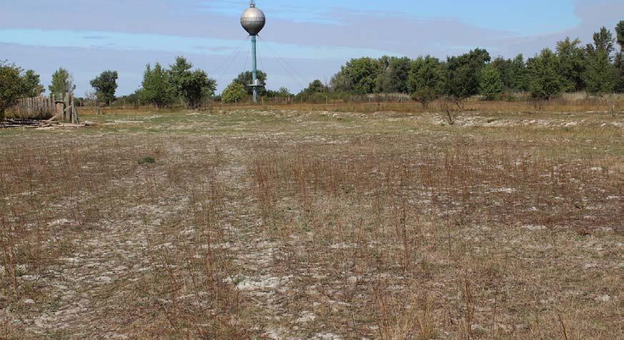 Projekt realizuje DAPHNE Inštitút aplikovanej ekológie, Bratislavské regionálne ochranárske združenie a Štátna ochrana prírody SR s finančnou podporou