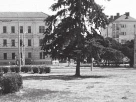 1878 byla v Údolní 3 slavnostně znovuotevřena tělocvična brněnského německého spolku Brűnner