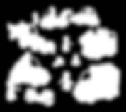 RO3109217 -